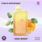Elf Bar BC10000 Dubai Breeze (UAE Edition) disposable vape